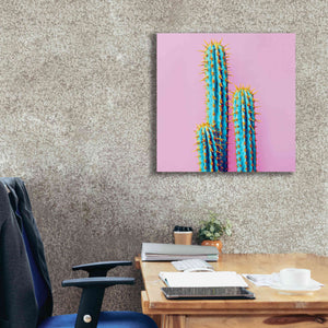 'Bubble Gum Cactus' by Epic Portfolio, Giclee Canvas Wall Art,26x26