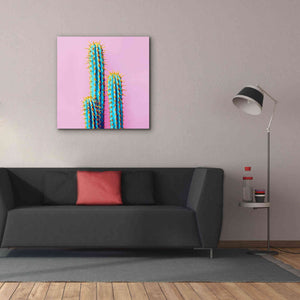 'Bubble Gum Cactus' by Epic Portfolio, Giclee Canvas Wall Art,37x37