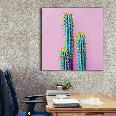 Image of 'Bubble Gum Cactus' by Epic Portfolio, Giclee Canvas Wall Art,37x37