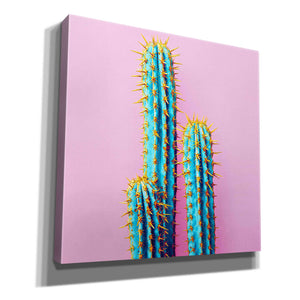 'Bubble Gum Cactus' by Epic Portfolio, Giclee Canvas Wall Art