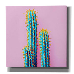'Bubble Gum Cactus' by Epic Portfolio, Giclee Canvas Wall Art