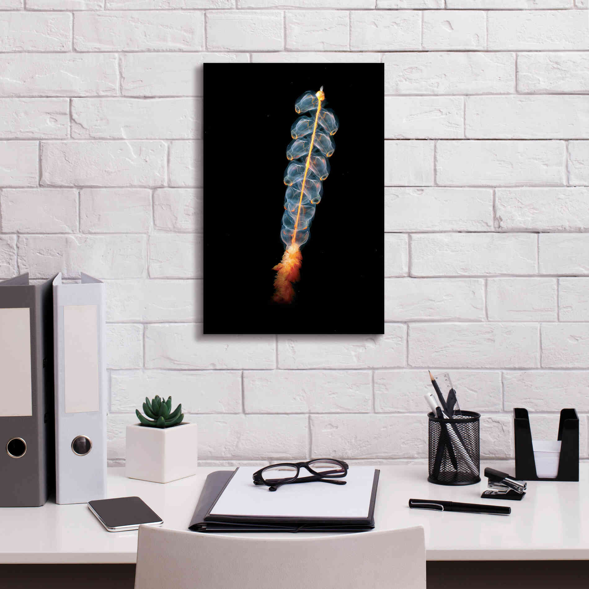 'Deep Sea Rocket' by Epic Portfolio, Giclee Canvas Wall Art,12x18