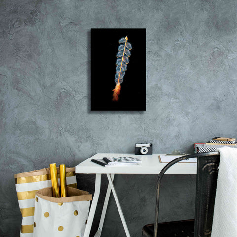Image of 'Deep Sea Rocket' by Epic Portfolio, Giclee Canvas Wall Art,12x18