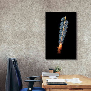 'Deep Sea Rocket' by Epic Portfolio, Giclee Canvas Wall Art,26x40