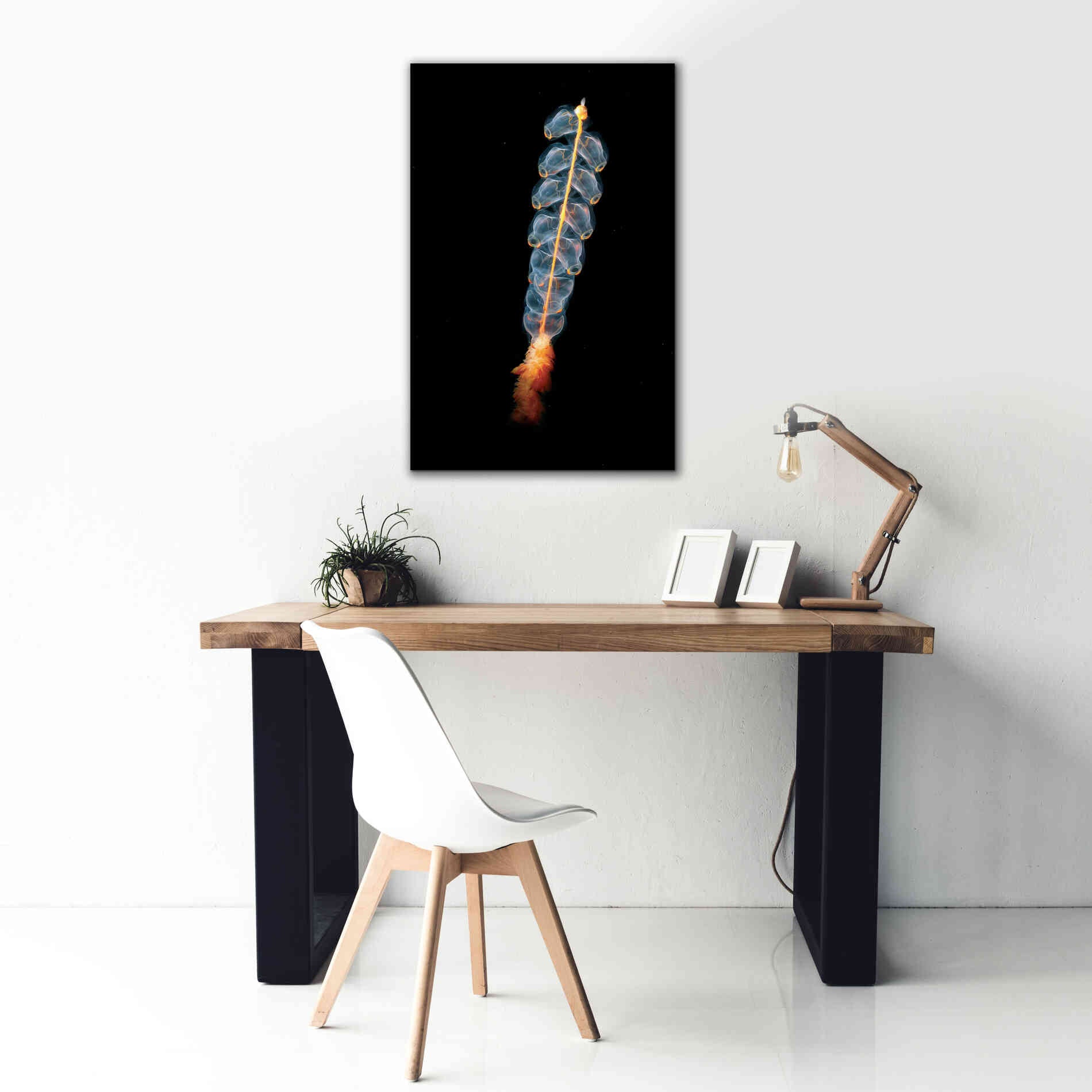 'Deep Sea Rocket' by Epic Portfolio, Giclee Canvas Wall Art,26x40