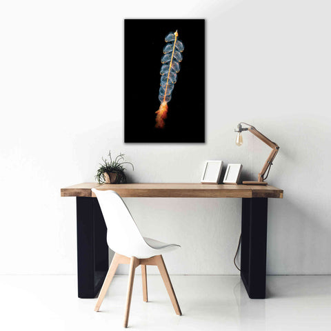 Image of 'Deep Sea Rocket' by Epic Portfolio, Giclee Canvas Wall Art,26x40