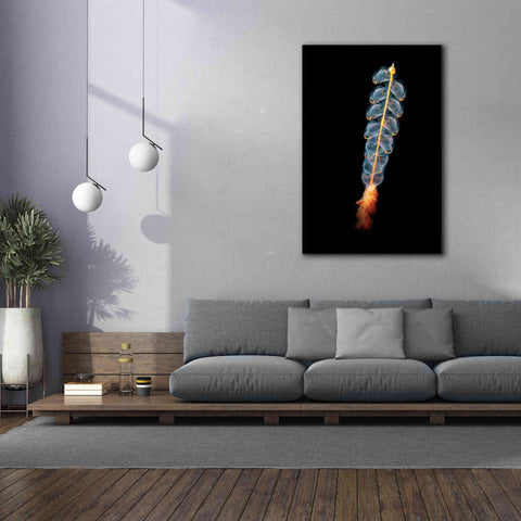 Image of 'Deep Sea Rocket' by Epic Portfolio, Giclee Canvas Wall Art,40x60