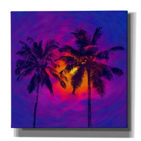 'Good Night Florida' by Epic Portfolio, Giclee Canvas Wall Art