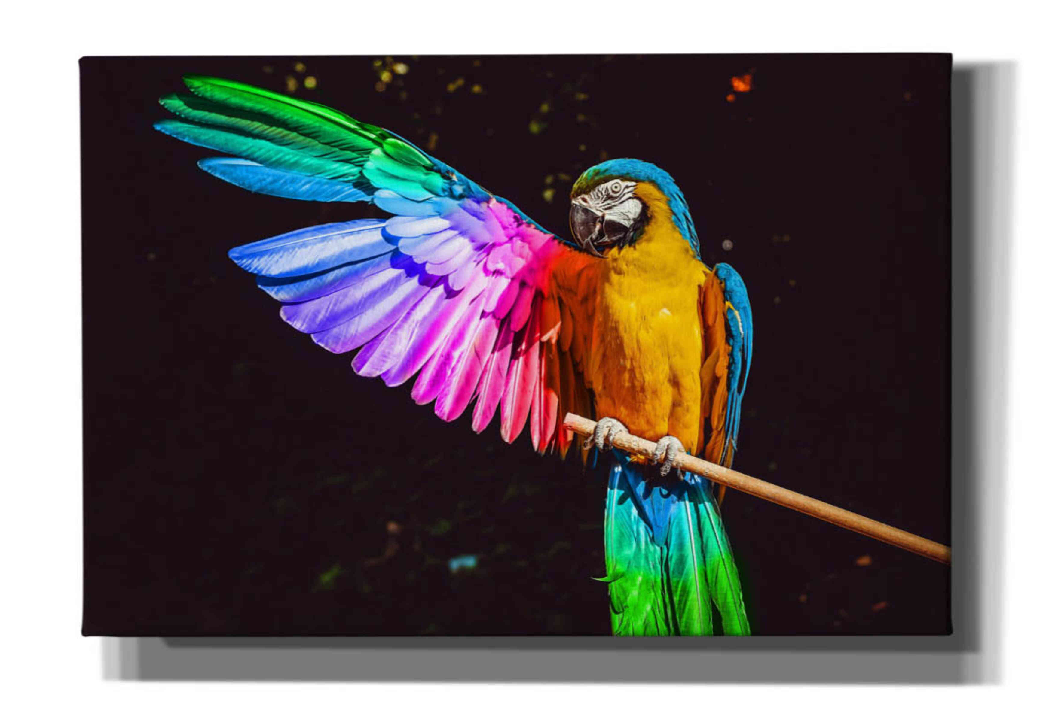 'Hitchhiker' by Epic Portfolio, Giclee Canvas Wall Art