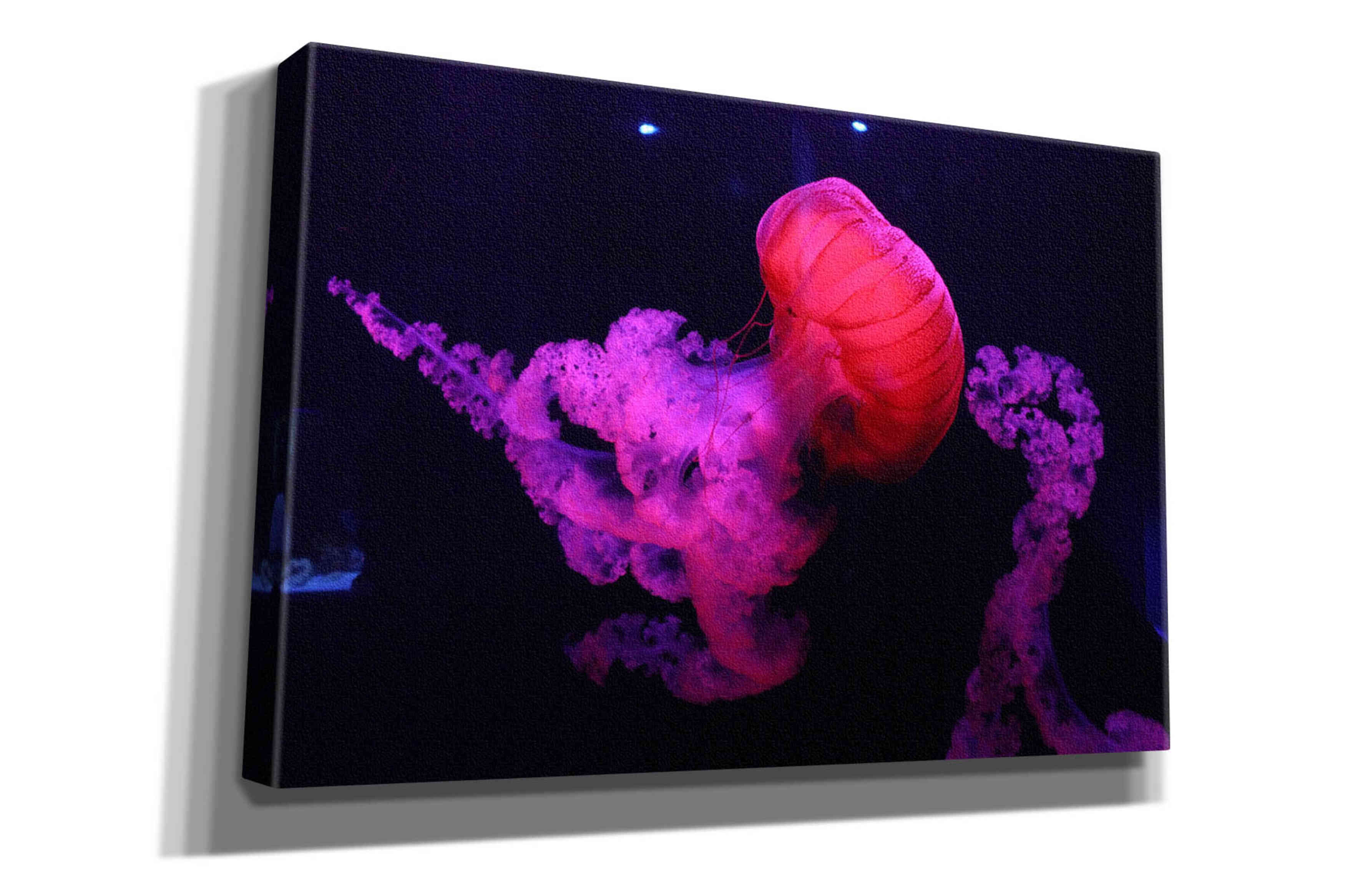 'Mushroom Cloud' by Epic Portfolio, Giclee Canvas Wall Art