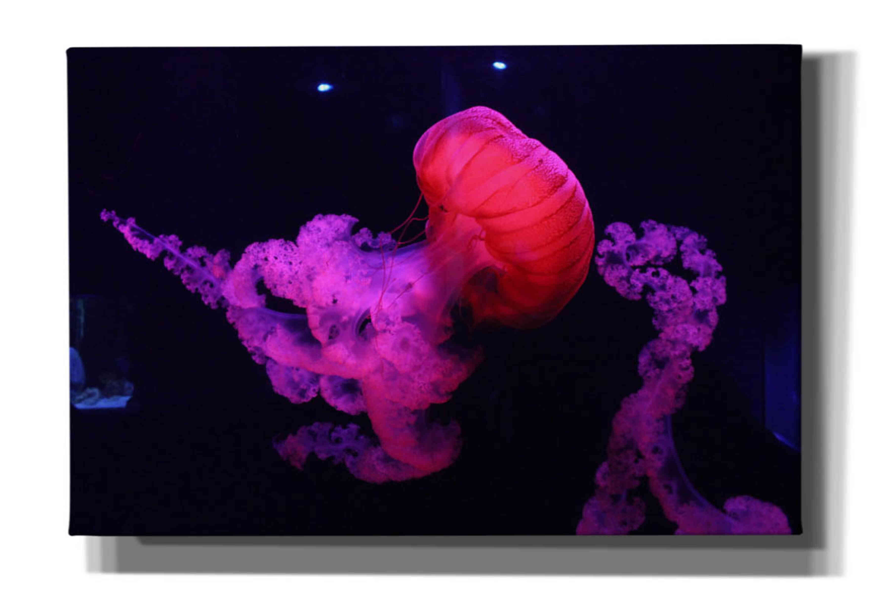 'Mushroom Cloud' by Epic Portfolio, Giclee Canvas Wall Art