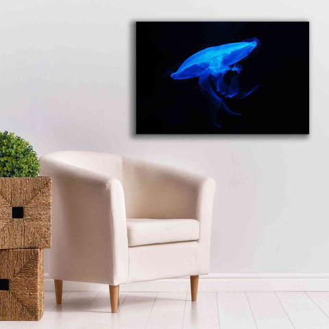 Image of 'Swan Lake' by Epic Portfolio, Giclee Canvas Wall Art,40x26
