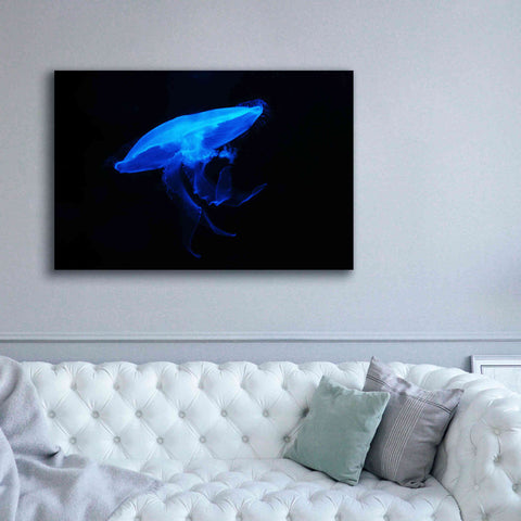 Image of 'Swan Lake' by Epic Portfolio, Giclee Canvas Wall Art,60x40