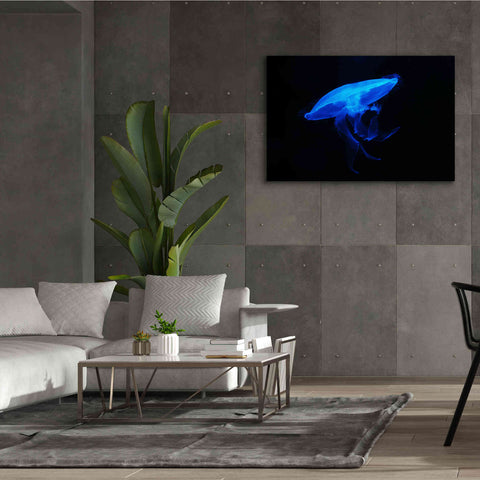 Image of 'Swan Lake' by Epic Portfolio, Giclee Canvas Wall Art,60x40