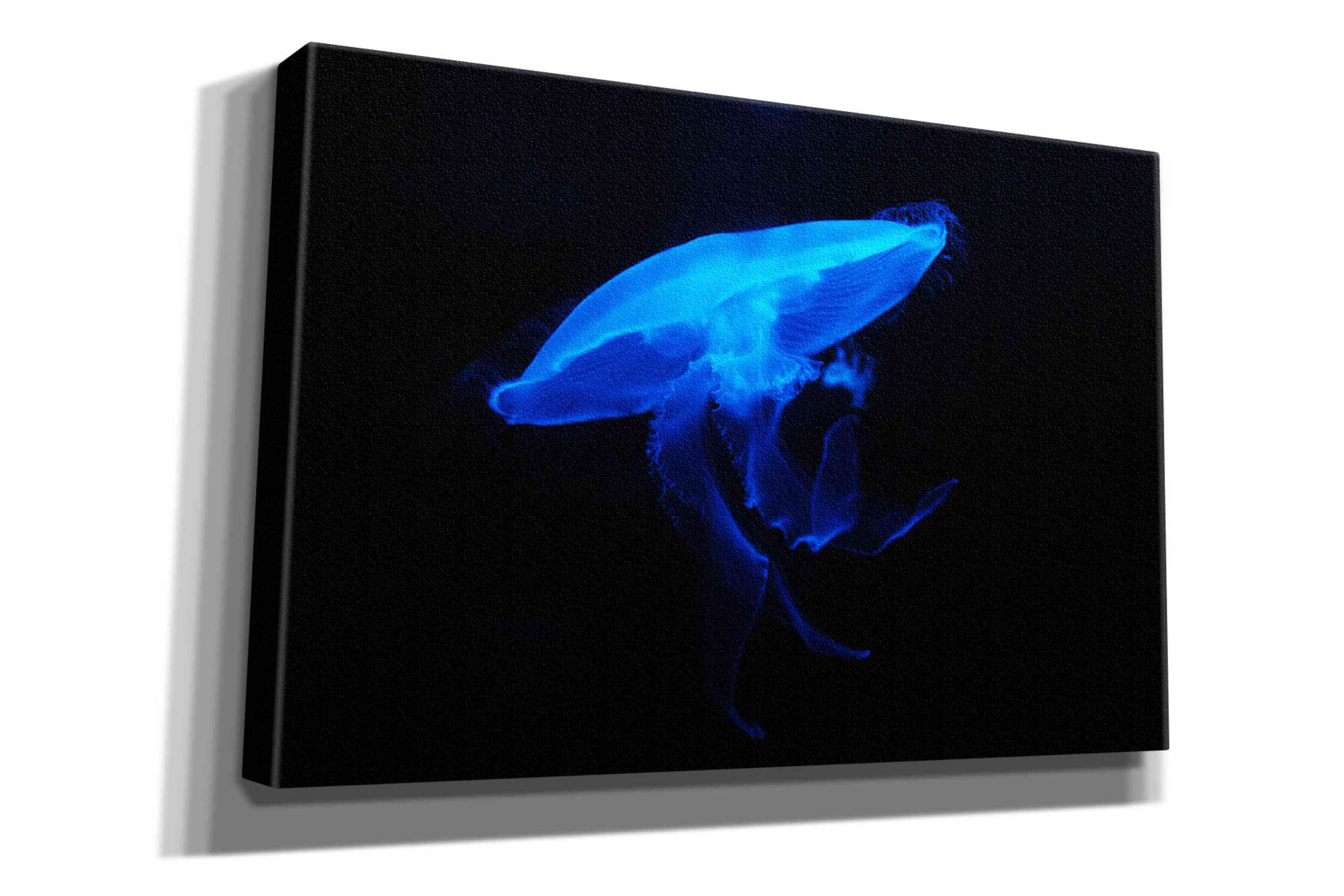 'Swan Lake' by Epic Portfolio, Giclee Canvas Wall Art