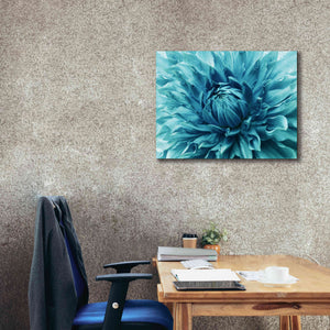 'Turquoise Dahlia' by Epic Portfolio, Giclee Canvas Wall Art,34x26