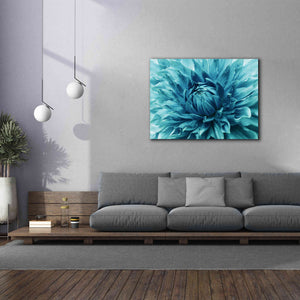 'Turquoise Dahlia' by Epic Portfolio, Giclee Canvas Wall Art,54x40