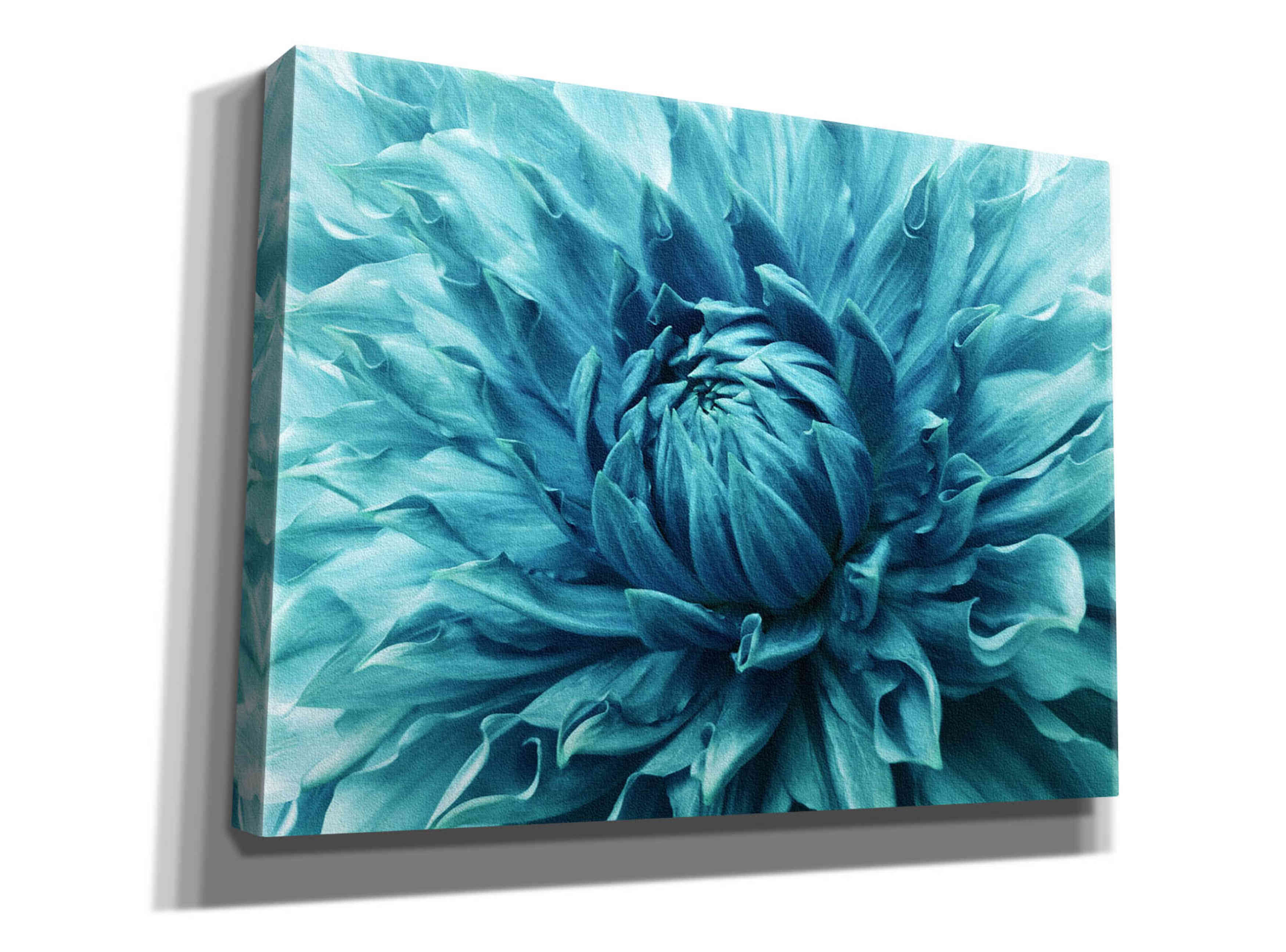 'Turquoise Dahlia' by Epic Portfolio, Giclee Canvas Wall Art