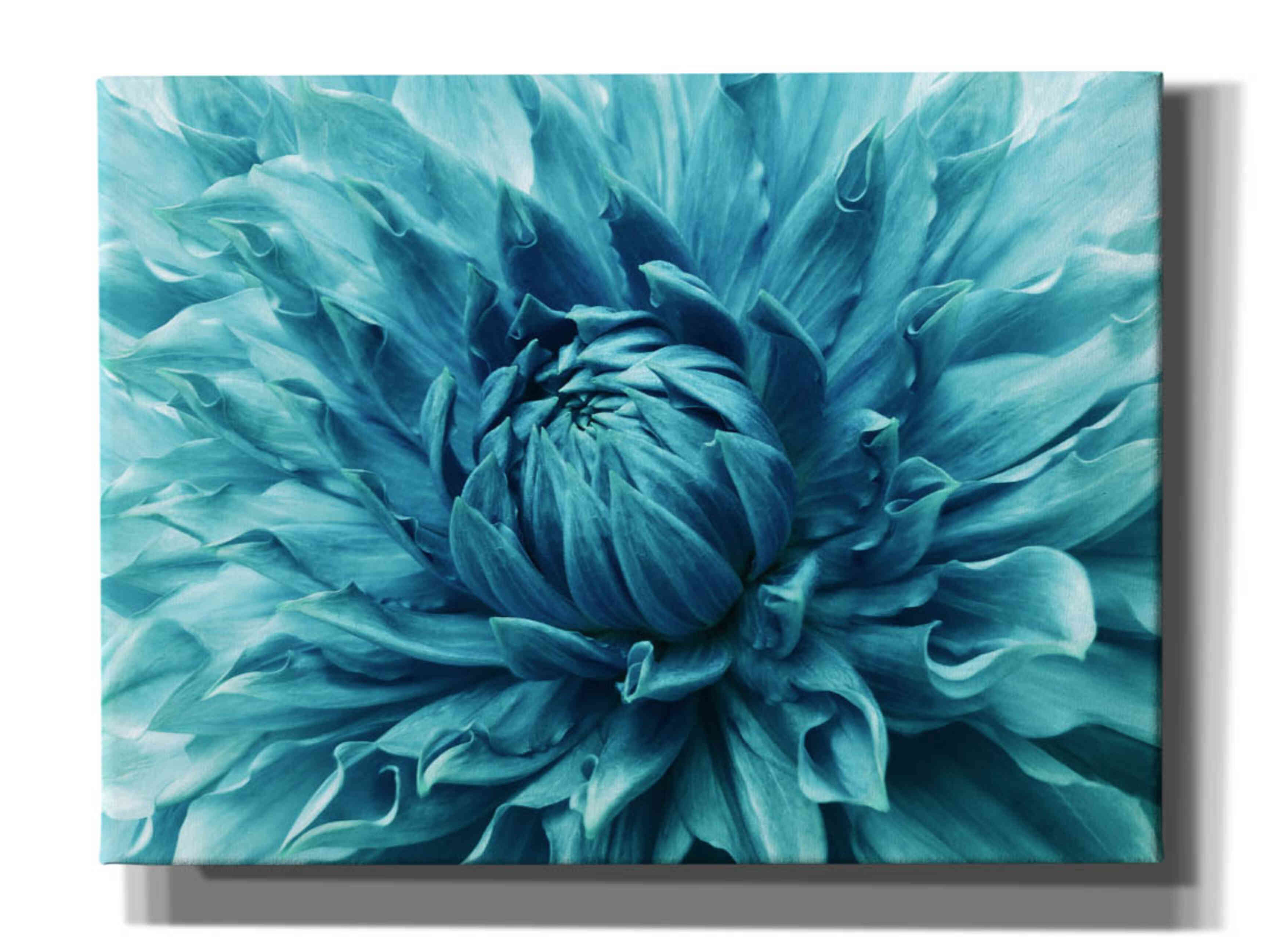'Turquoise Dahlia' by Epic Portfolio, Giclee Canvas Wall Art