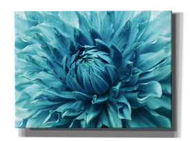 'Turquoise Dahlia' by Epic Portfolio, Giclee Canvas Wall Art
