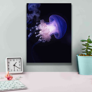 'Underwater Mushroom' by Epic Portfolio, Giclee Canvas Wall Art,12x16