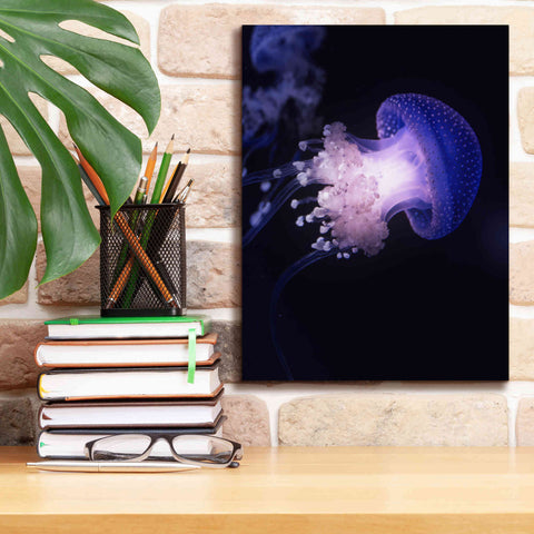 Image of 'Underwater Mushroom' by Epic Portfolio, Giclee Canvas Wall Art,12x16