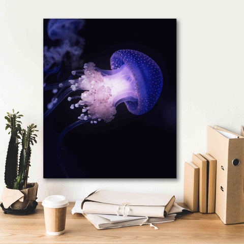 Image of 'Underwater Mushroom' by Epic Portfolio, Giclee Canvas Wall Art,20x24