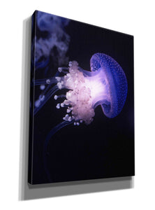 'Underwater Mushroom' by Epic Portfolio, Giclee Canvas Wall Art