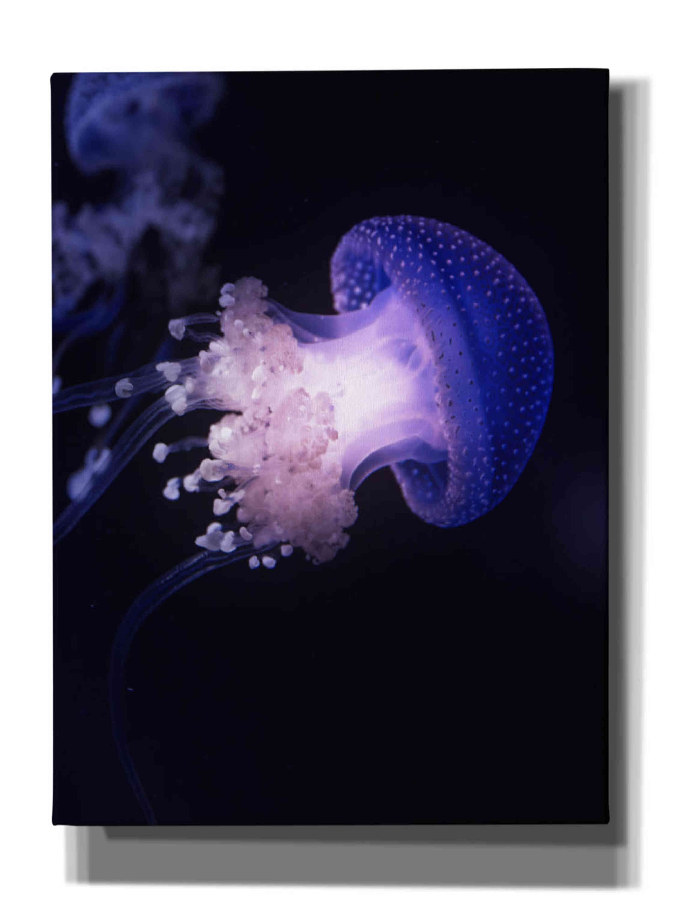 'Underwater Mushroom' by Epic Portfolio, Giclee Canvas Wall Art