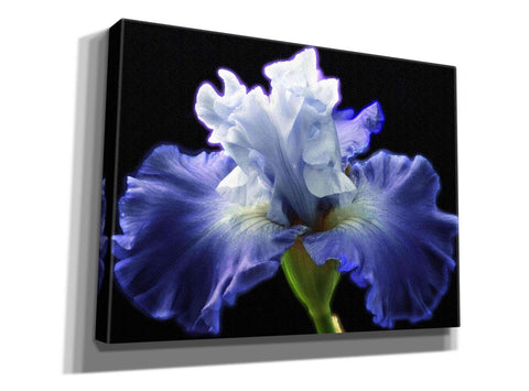 Image of 'Violet Blaze ' by Epic Portfolio, Giclee Canvas Wall Art