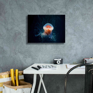 'Blast Off' by Epic Portfolio, Giclee Canvas Wall Art,16x12