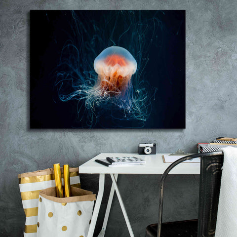 Image of 'Blast Off' by Epic Portfolio, Giclee Canvas Wall Art,34x26