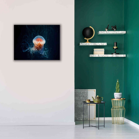 Image of 'Blast Off' by Epic Portfolio, Giclee Canvas Wall Art,34x26