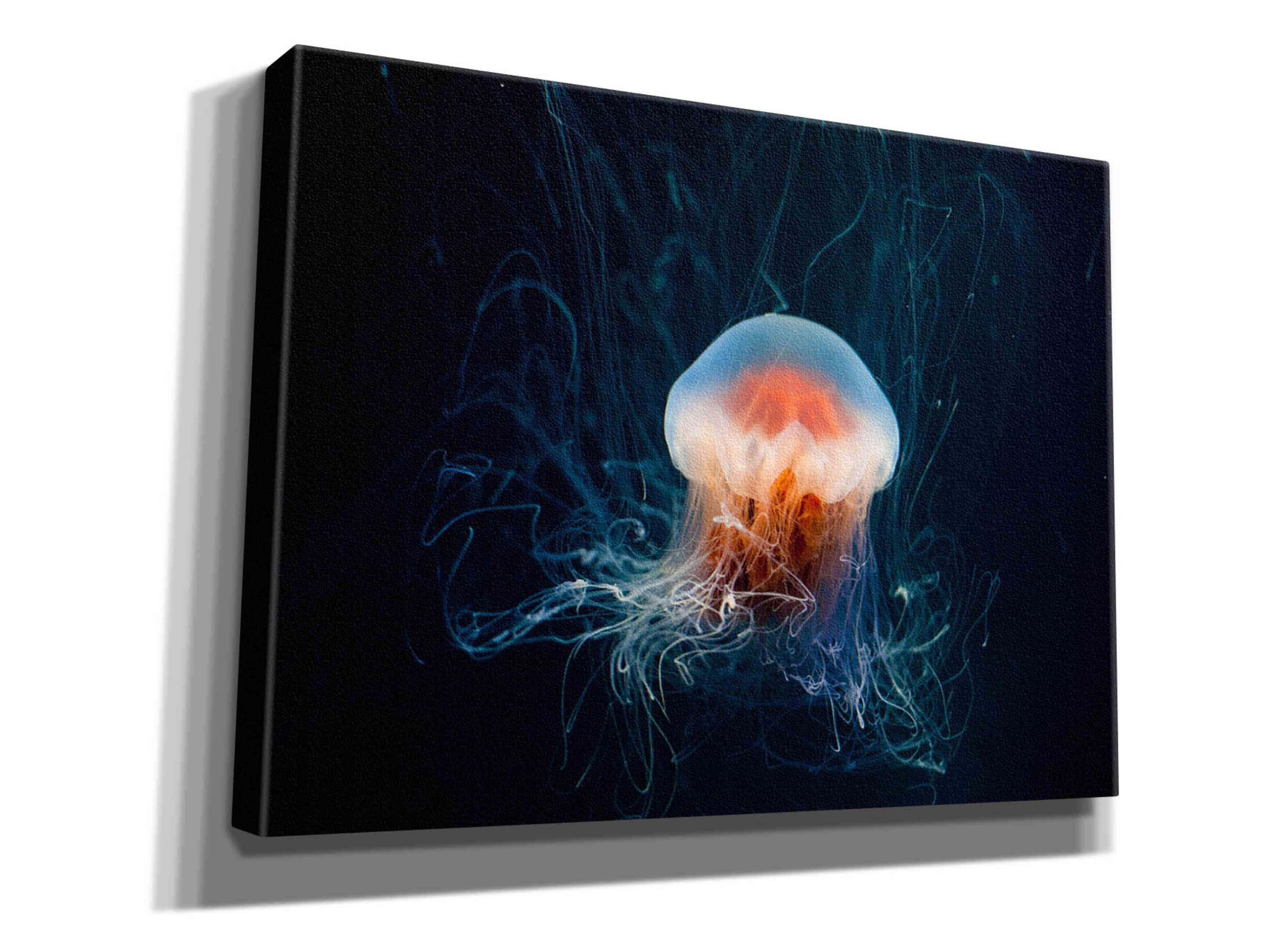 'Blast Off' by Epic Portfolio, Giclee Canvas Wall Art