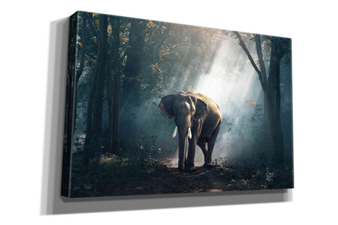 Image of 'Elephant' by Epic Portfolio, Giclee Canvas Wall Art