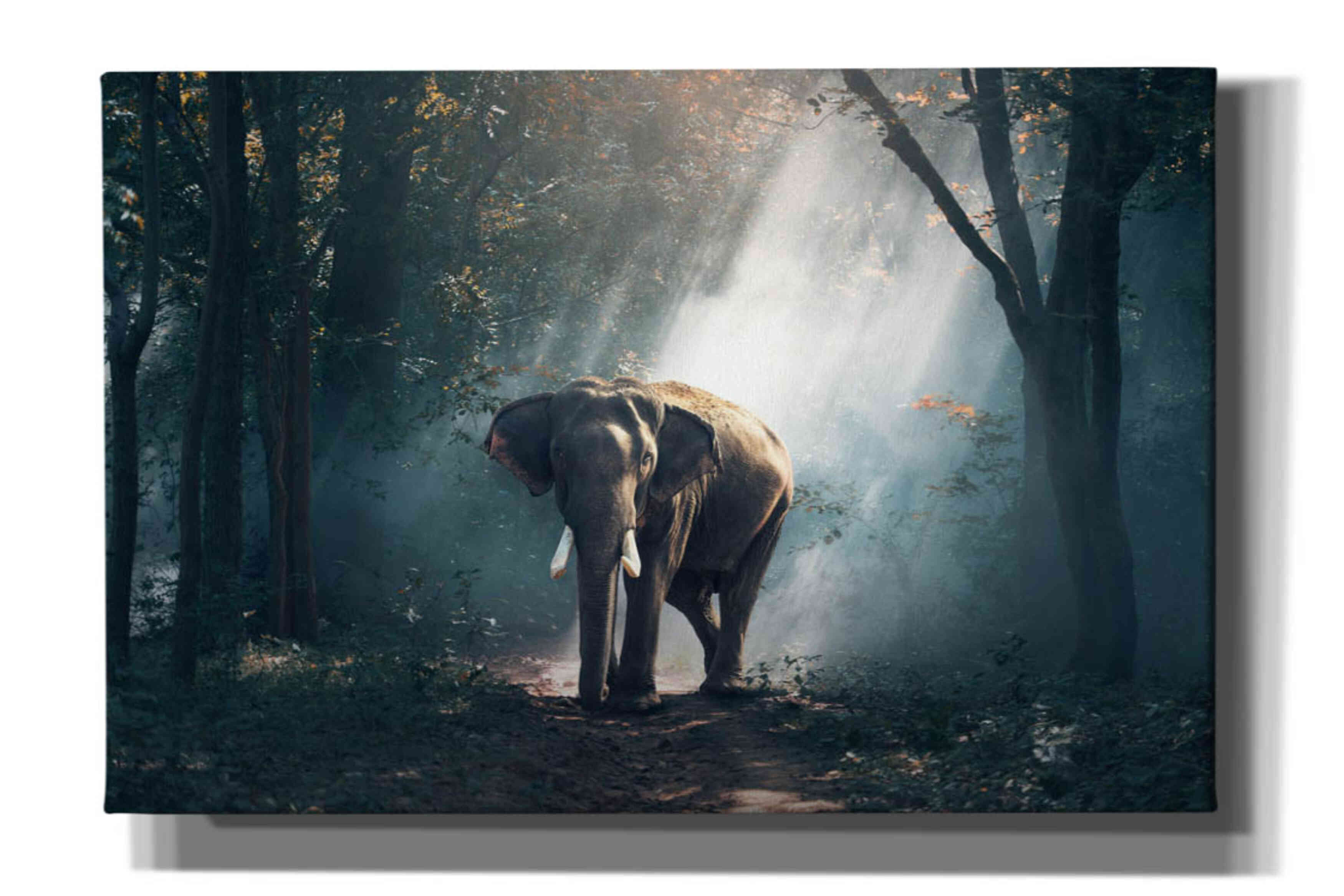 'Elephant' by Epic Portfolio, Giclee Canvas Wall Art
