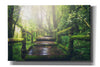 'Jungle' by Epic Portfolio, Giclee Canvas Wall Art