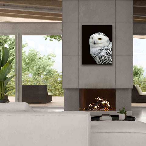 Image of 'Snowy Owl' by Epic Portfolio, Giclee Canvas Wall Art,26x34