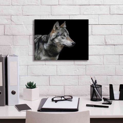Image of 'Wolf' by Epic Portfolio, Giclee Canvas Wall Art,16x12