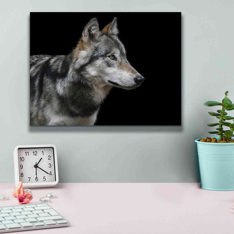 Image of 'Wolf' by Epic Portfolio, Giclee Canvas Wall Art,16x12