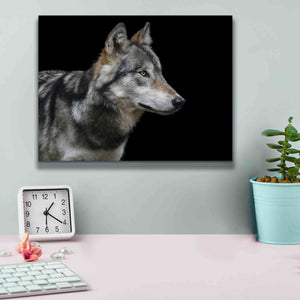 'Wolf' by Epic Portfolio, Giclee Canvas Wall Art,16x12