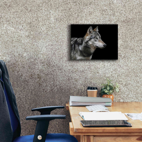 Image of 'Wolf' by Epic Portfolio, Giclee Canvas Wall Art,16x12