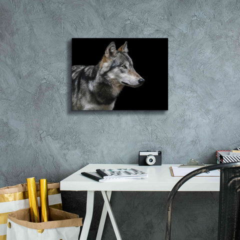 Image of 'Wolf' by Epic Portfolio, Giclee Canvas Wall Art,16x12