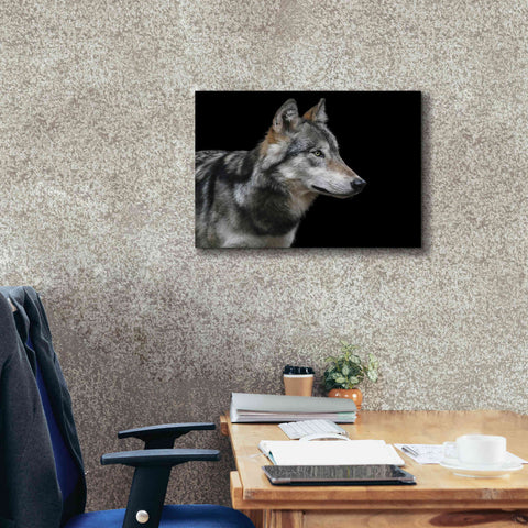 Image of 'Wolf' by Epic Portfolio, Giclee Canvas Wall Art,24x20