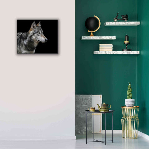 Image of 'Wolf' by Epic Portfolio, Giclee Canvas Wall Art,24x20