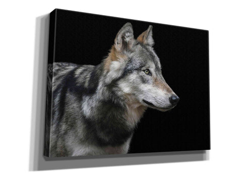 Image of 'Wolf' by Epic Portfolio, Giclee Canvas Wall Art