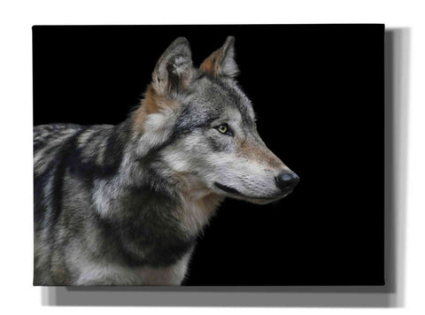 Image of 'Wolf' by Epic Portfolio, Giclee Canvas Wall Art