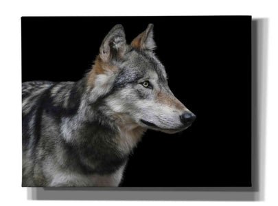 'Wolf' by Epic Portfolio, Giclee Canvas Wall Art