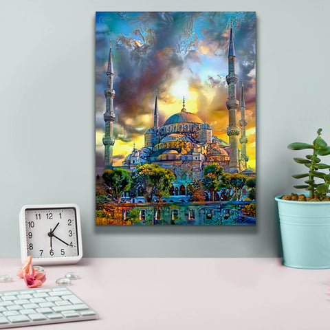 Image of 'Istanbul Turkey Blue Mosque' by Pedro Gavidia, Canvas Wall Art,12 x 16