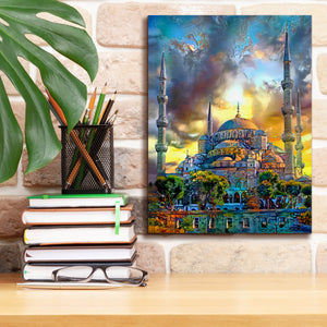 'Istanbul Turkey Blue Mosque' by Pedro Gavidia, Canvas Wall Art,12 x 16